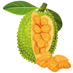 Jackfruit Unusual