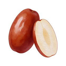 Jujube
