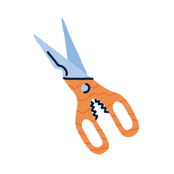 Kitchen scissors