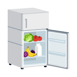 Refrigerator: Kitchen Items and Tools Names