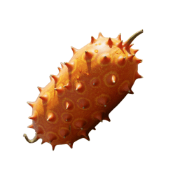Kiwano (Horned Melon)