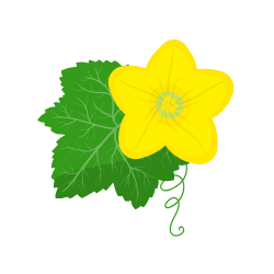 Kiwano (Horned Melon)