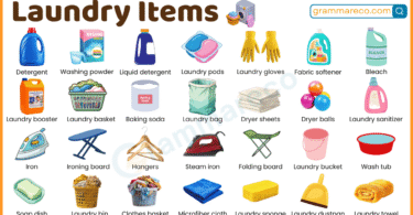 50+ Laundry Items: Complete List with their Pictures