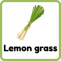 Lemongrass: Herbs and Plants Names
