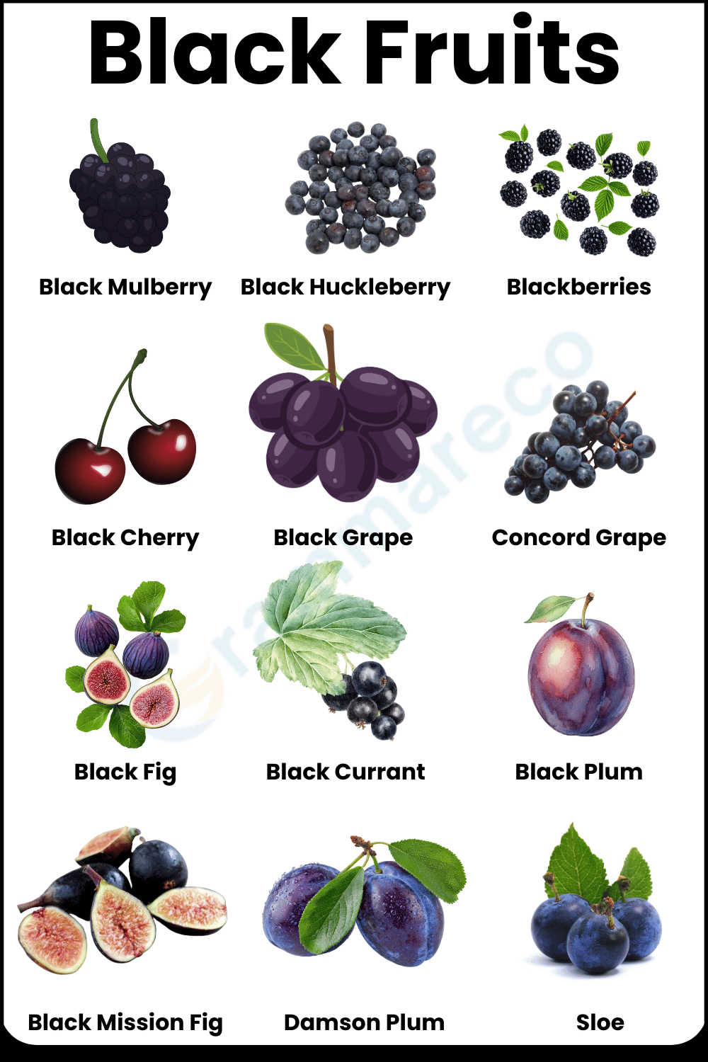 List of Different Black Fruits and Pictures