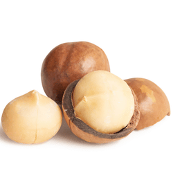 Macadamia Nut: Dried Fruits Names