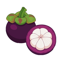 Mangosteen