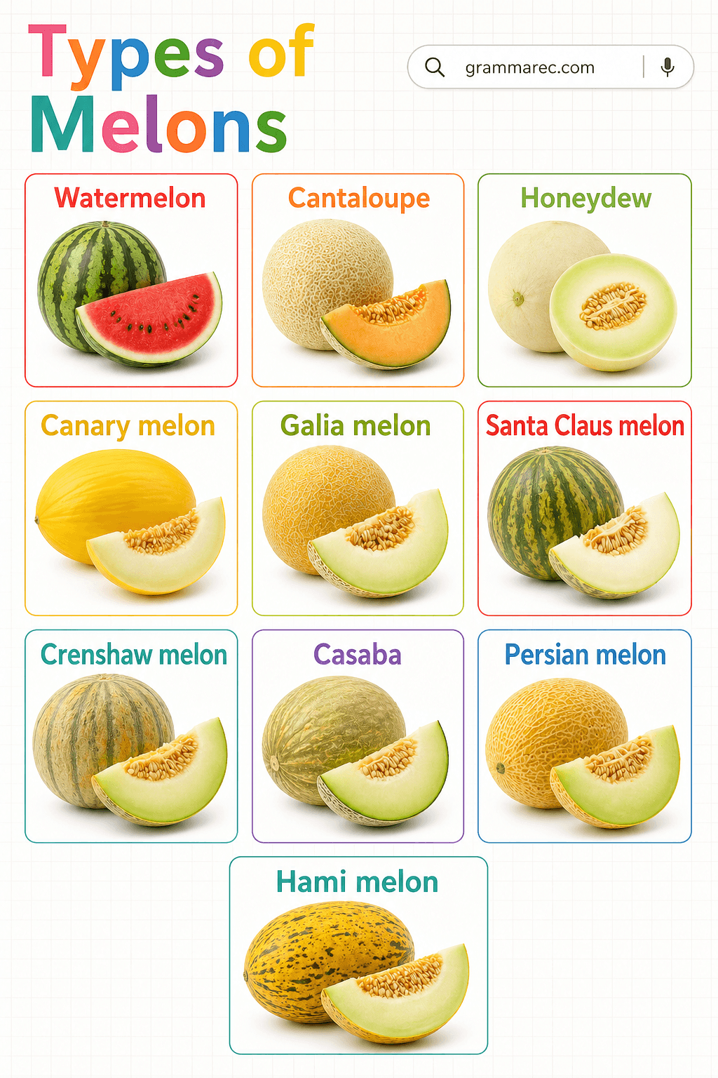 Types of Melons Fruit List with Pictures