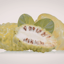 Monstera Deliciosa Fruit