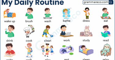200+ Daily Routine Vocabulary Words list in English with Pictures