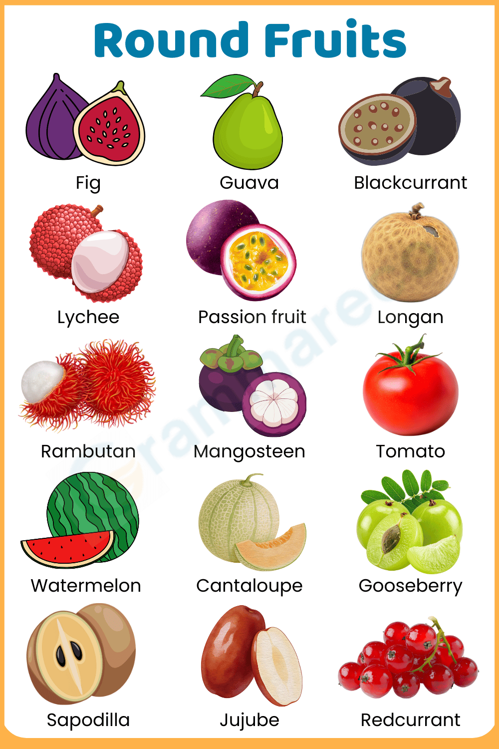 54+ Names of Fruit that are Round with Pictures