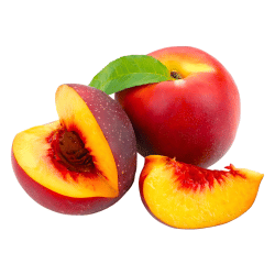 Nectarine