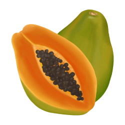 Papaya
