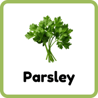 Parsley: List of 100+ Herbs Plants Names