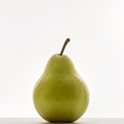 Pear (summer varieties)