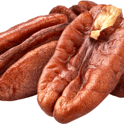 Pecan: Dried Fruits Names