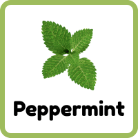 Peppermint