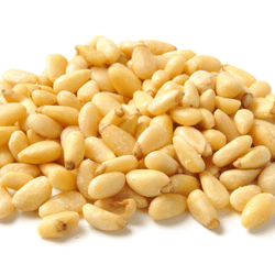 Pine Nut