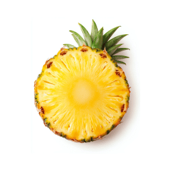 Pineapple: Summer Fruits