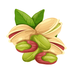 Pistachio: Dried Fruits Names