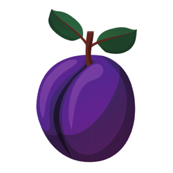 Plum: Round Fruits Names