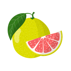 Pomelo: Exotic Fruits List