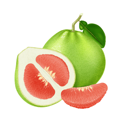 Pomelo: Citrus Winter Fruits
