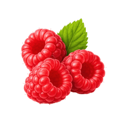 Raspberries Summer Fruits