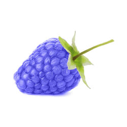 Real Blue Raspberry Fruit: Blue Fruits Names