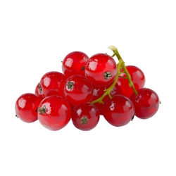 Redcurrant