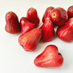 Rose Apple
