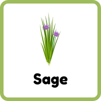 Sage