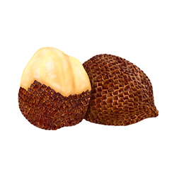 Salak Fruit