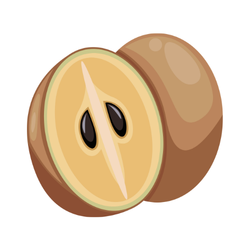 Sapodilla