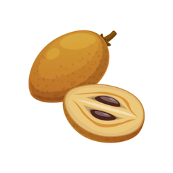 Sapodilla