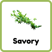 Savory