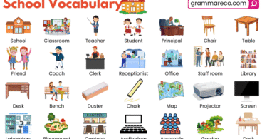200+ School Vocabulary Words List for Students with their Pictures