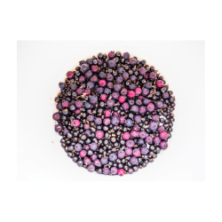 Serviceberry (Saskatoon Berry)