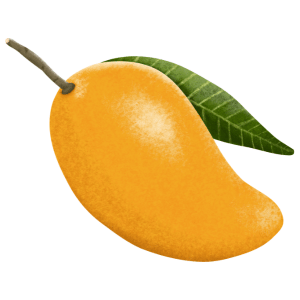 Sweet Sindhri Mango Variety