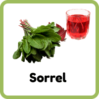 Sorrel