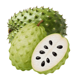 Soursop (Graviola)