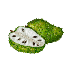 Soursop