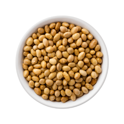 Soy Nut: Dried Fruits Names