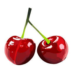 Cherry in a Season in Spring: March, April and May