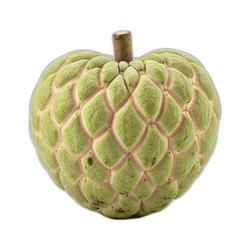 Spring Custard Apple