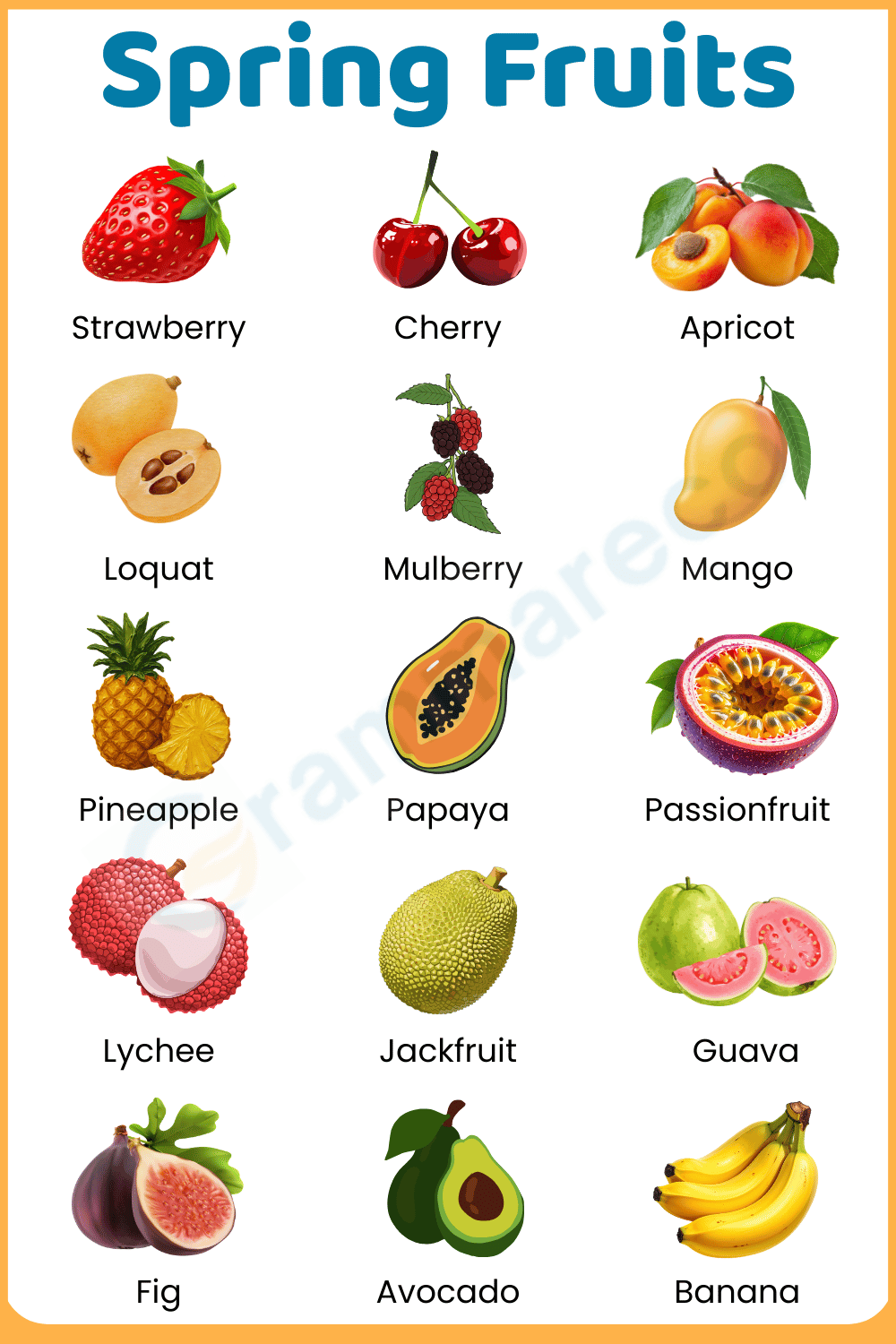 Seasonal Spring Fruits List with their Pictures