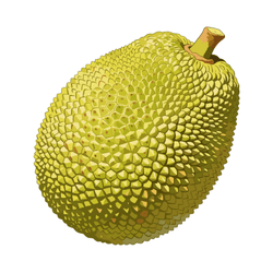 Jackfruit: Spring Fruits in a Season