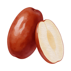 Jujube