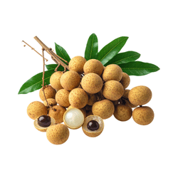 Longan in Spring Season: Spring Fruits