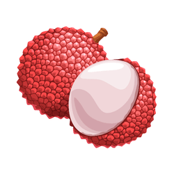 Lychee: Spring Fruits in a Season